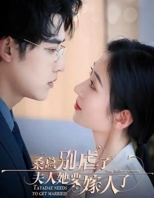 山海邮局 奇幻治愈电视剧全集免费观看